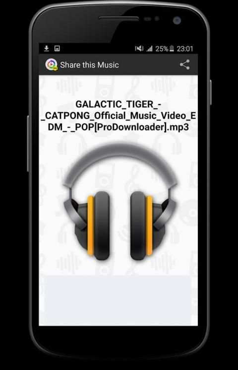Pro Downloader screenshot 1