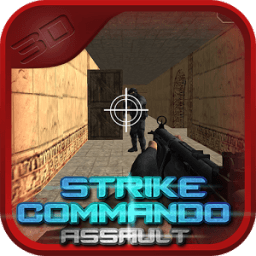 ikon Assassin Strike Commando