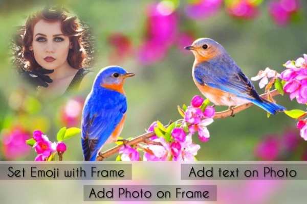Birds Photo Frames screenshot 3