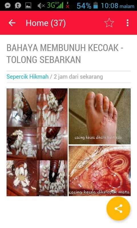 Sepercik Hikmah screenshot 6