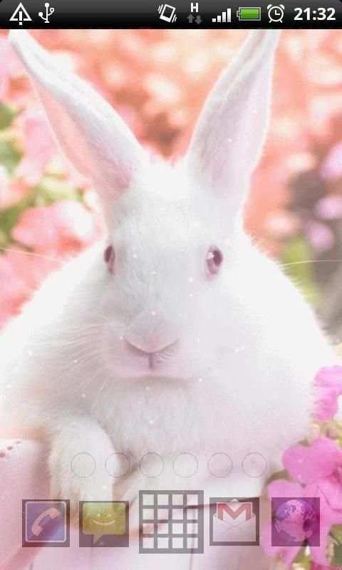 easter bunny live wallpapers screenshot 1