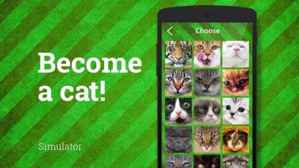 Cat Wajah Foto screenshot 2