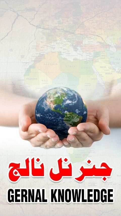 Genral Knowledge 9 تصوير الشاشة