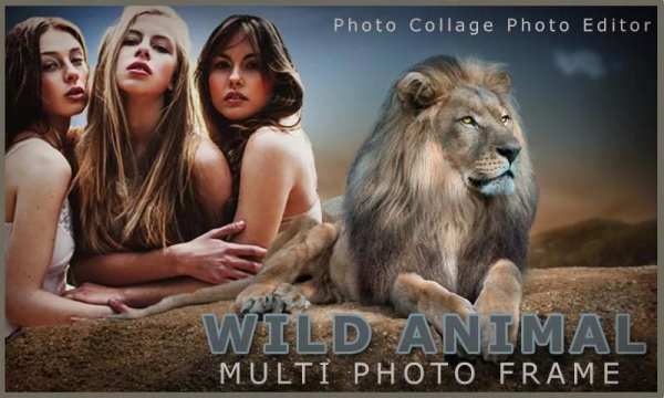 Wild Animal Photo Frame Multi स्क्रीनशॉट 1