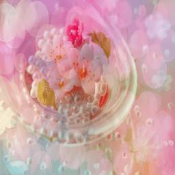 Flower Wallpapers 1.0.1