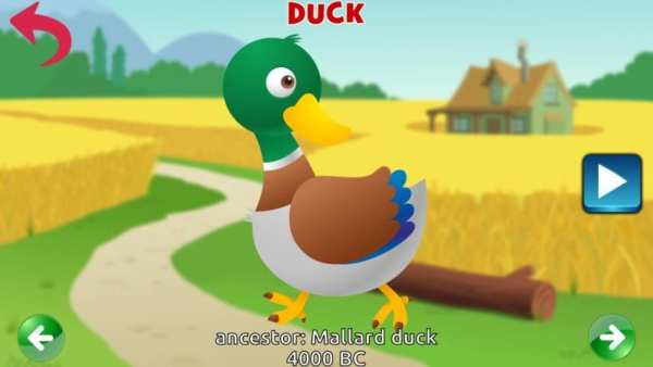 Farm Animals Sounds screenshot 5