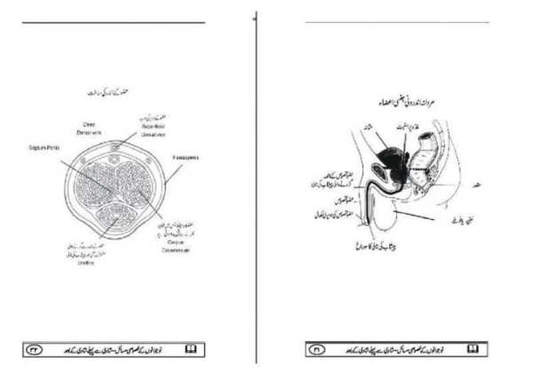 Jinsi Maloomat 1 تصوير الشاشة