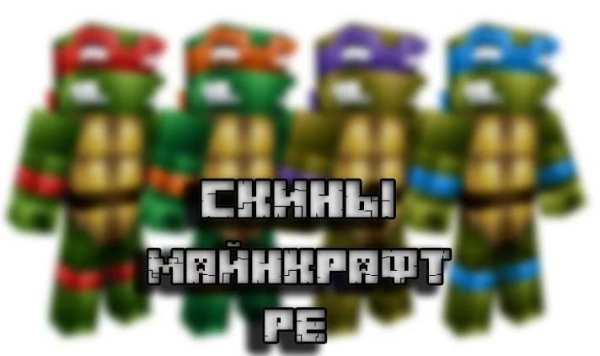 Скины для Майнкрафт PE screenshot 2