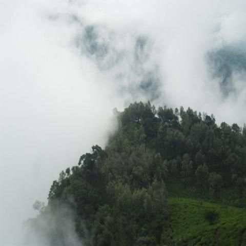 Photography screenshot 3