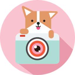 Cozy Camera-Photo&Video Editor