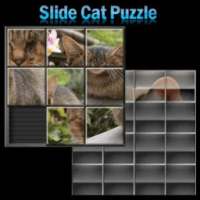 Slide Cat Puzzle