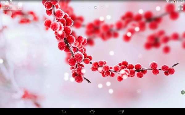 Frozen beauty live wallpaper screenshot 4