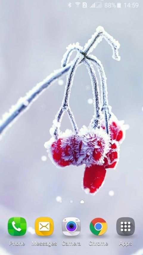 Frozen beauty live wallpaper screenshot 6