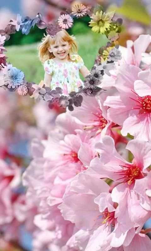 Sakura Photo Frames स्क्रीनशॉट 4