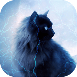 ikon Bermata biru kucing