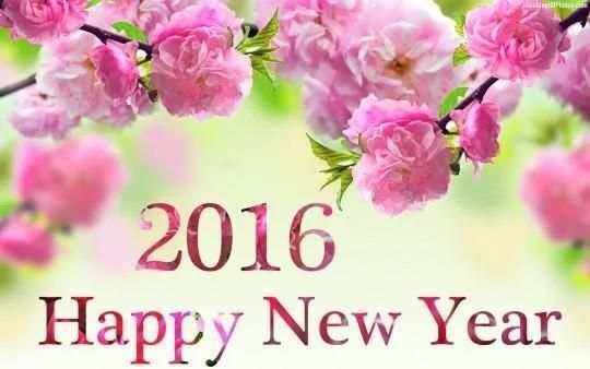 Happy New Year 2016 स्क्रीनशॉट 5