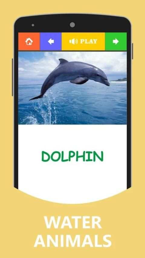 Animals and Birds with Sound screenshot 2