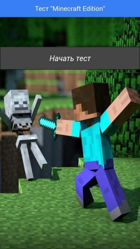 Тест "Minecraft Edition" screenshot 6