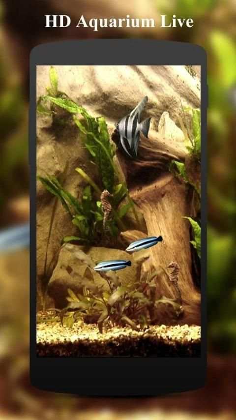 HD Aquarium Live Wallpaper 3D screenshot 3
