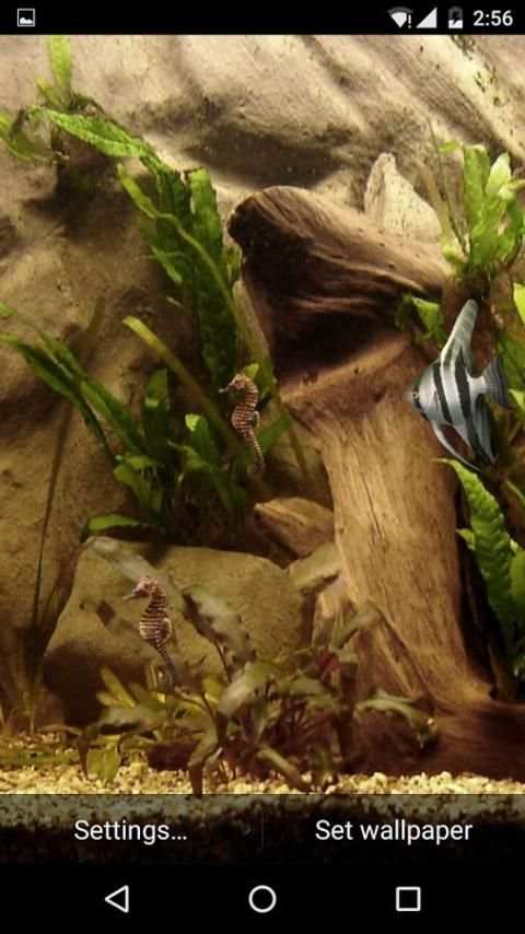 HD Aquarium Live Wallpaper 3D screenshot 6