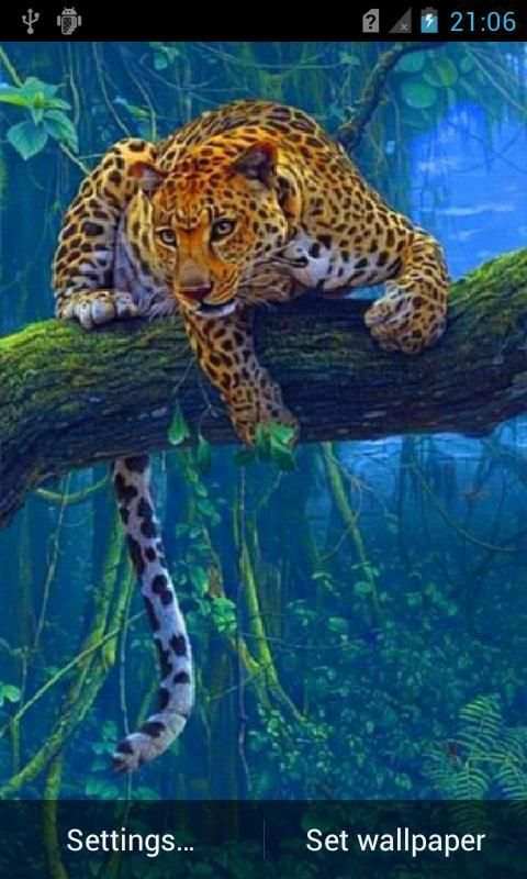 Leopard live wallpaper screenshot 3