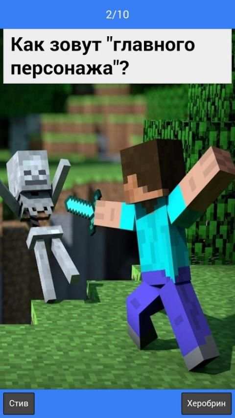 Тест "Minecraft Edition" screenshot 4