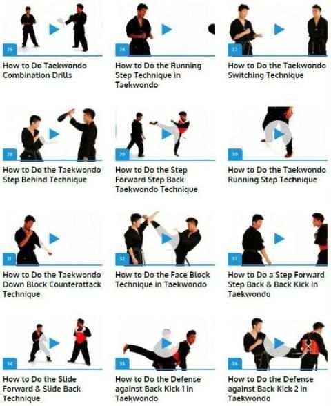 Taekwondo screenshot 1