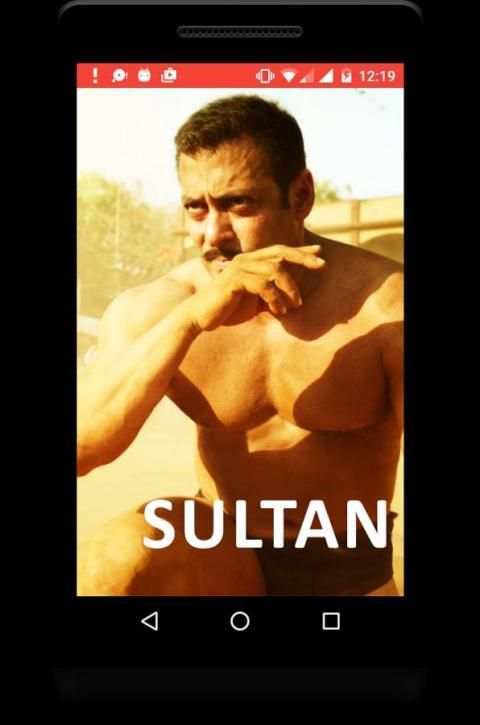 Sultan Movie screenshot 3