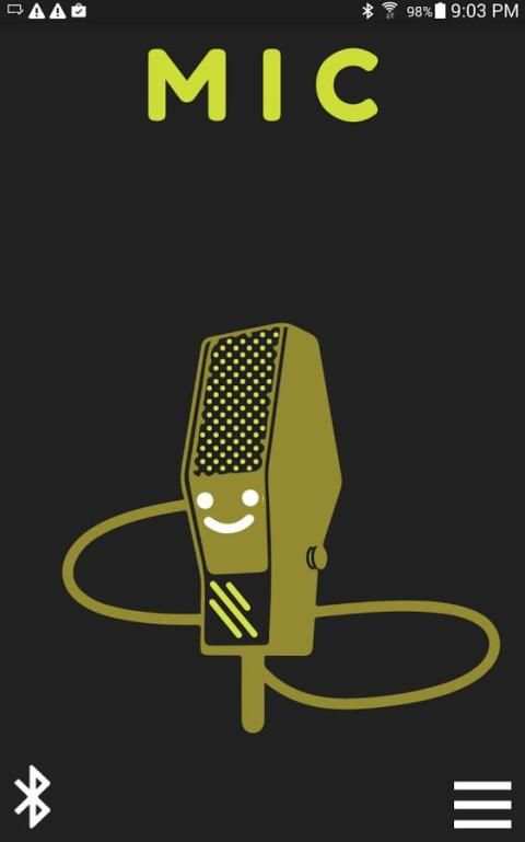 MIC screenshot 3