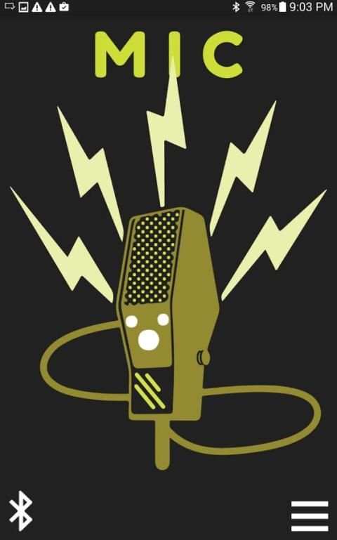 MIC screenshot 2