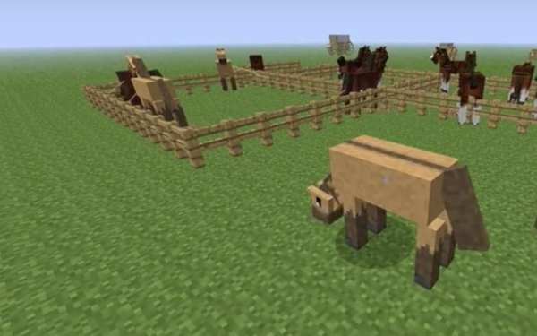 Horse Mods for Minecraft PE screenshot 1