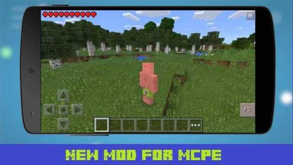 Selfi Mod for MCPE screenshot 2