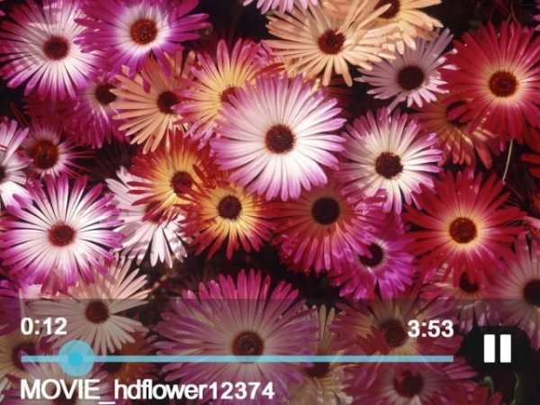 Free video player pro screenshot 1