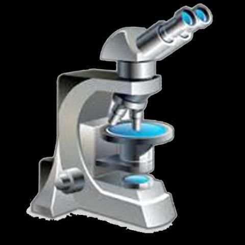 Histopathology screenshot 2