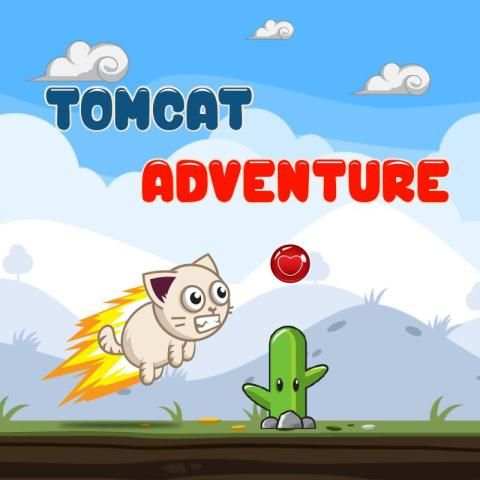 Tomcat adventure screenshot 6