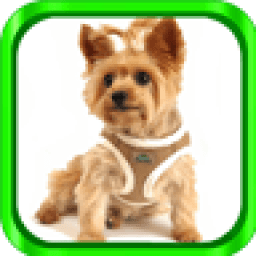 Dog Ringtones icon
