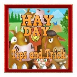 Guide Hay Day 1.0