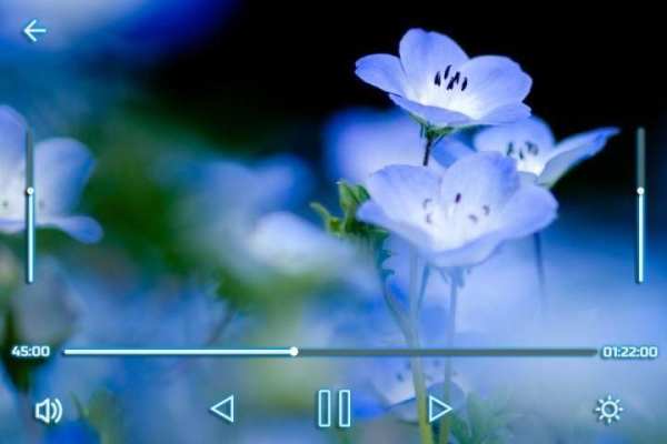 Max Video Player screenshot 1
