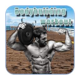 Bodybuilding Workout Guide