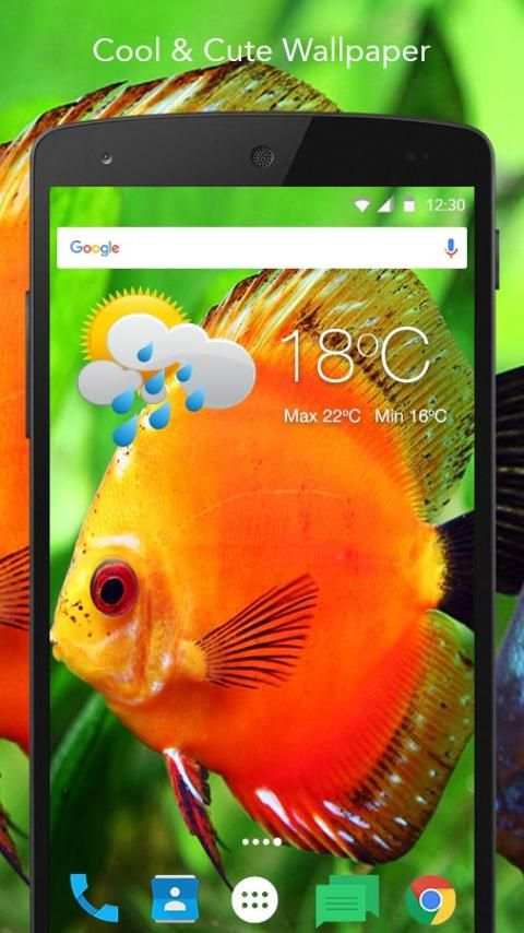 Clown Fish Live Wallpaper screenshot 5
