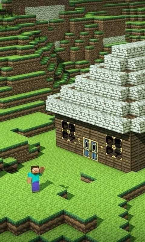 Minecraft Video скриншот 1