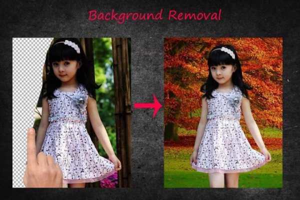 Photo Background Changer 1 تصوير الشاشة