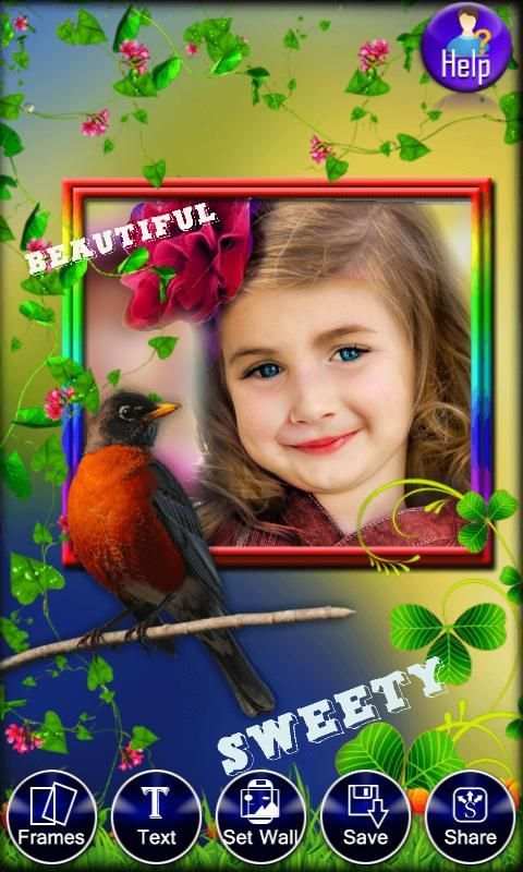 Birds Photo Frames LWP स्क्रीनशॉट 7