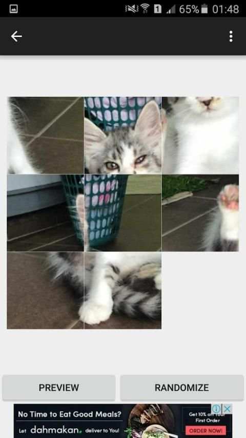 Game Kucing screenshot 4