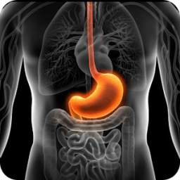 Gastritis Adios 1.0