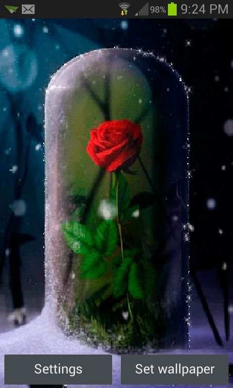 Rose Rough Live Wallpaper скриншот 3