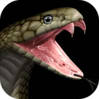 مقلب الثعبان على هاتفك - رائع