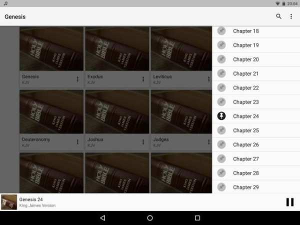 Bible Audio screenshot 3
