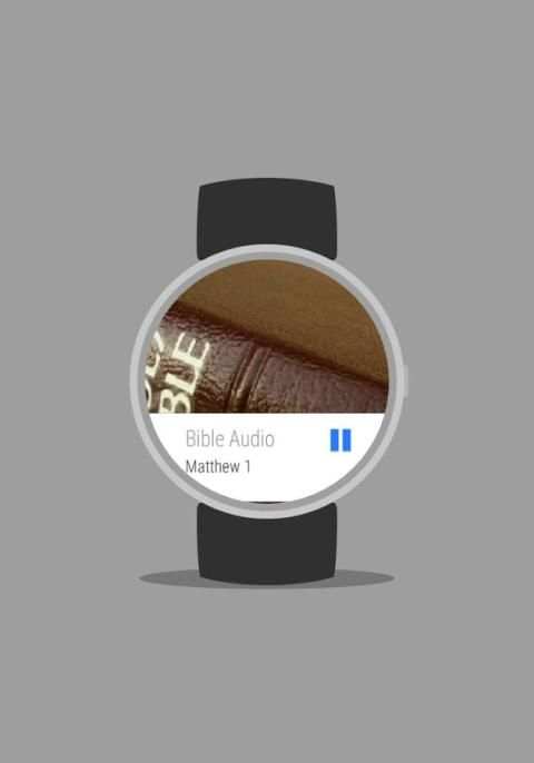 Bible Audio screenshot 1