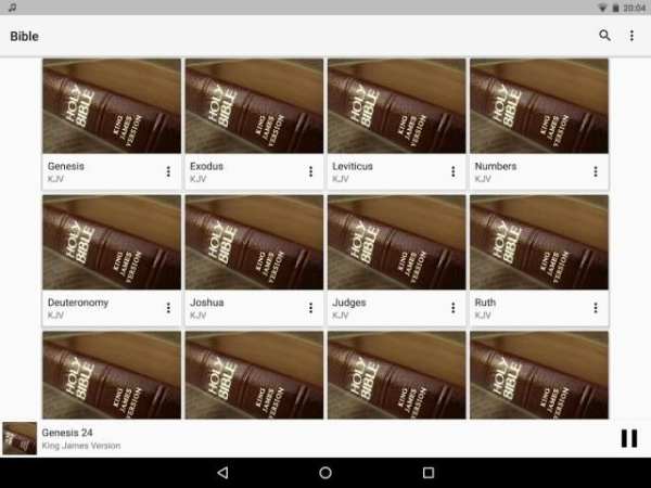 Bible Audio screenshot 4